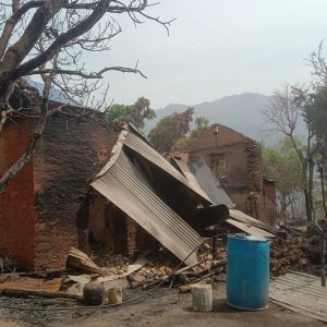 अर्घाखाँचीमा आगलागीले १सय ३ घरगोठ जलेर नष्ट