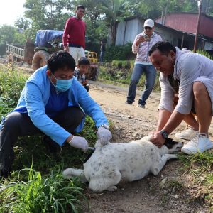 मानेभञ्याङमा कुकुर विरालोलाई घुम्ती शिविर