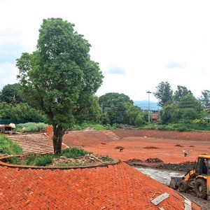 वातावरणमैत्री विकास सिकाइरहेका राजधानीका ‘मोडल रूख’