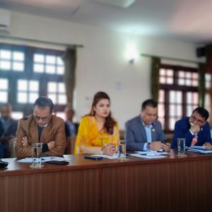 विदेशमा रहेका नेपालीलाई अनलाइन माध्यमबाट मताधिकार सुनिश्चित माग