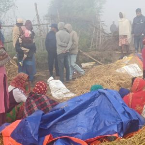 खेतमा काटेको धान रुङ्गन बसेका बृद्धको हात्तीले लियो ज्यान