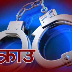 गाईमाथि खुँडा प्रहार गरेको आरोपमा २ जना पक्राउ