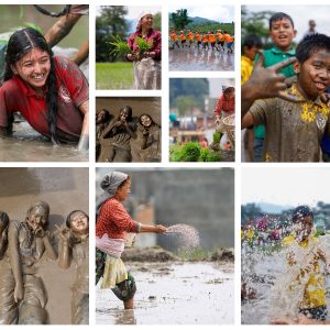 असार १५ मा टोखामा रोपाइँ महोत्सव (फोटोफिचर)