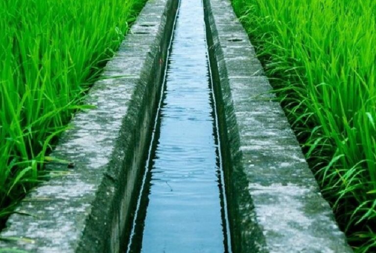 सिँचाइ कुलो निर्माणले बाँझो जमिनमा खेती