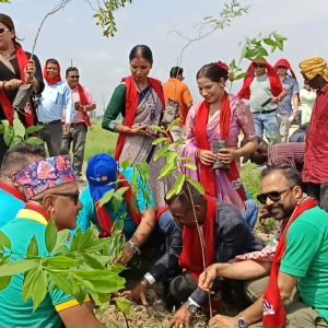 इनरुवाको ग्रीनसिटीमा १२ हजार बिरुवा रोप्ने अभियान सुरु